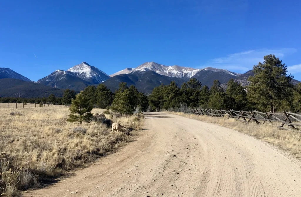 Starting Easy: Walking Is Enough