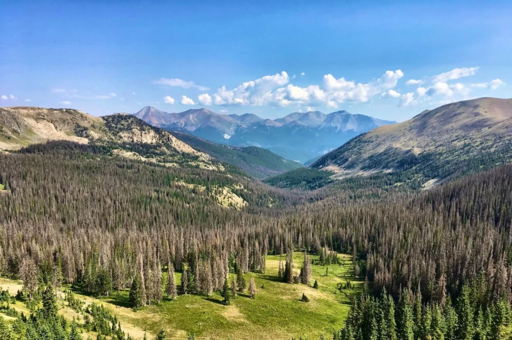 Savoring the Mountaintop Experiences