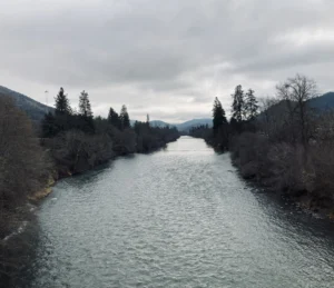 From the Trenches: Pushing Through the Doldrums of Winter