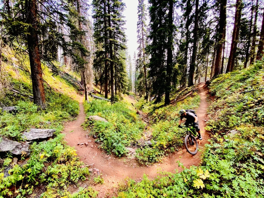 Another 2,000-Mile Year in the Books
