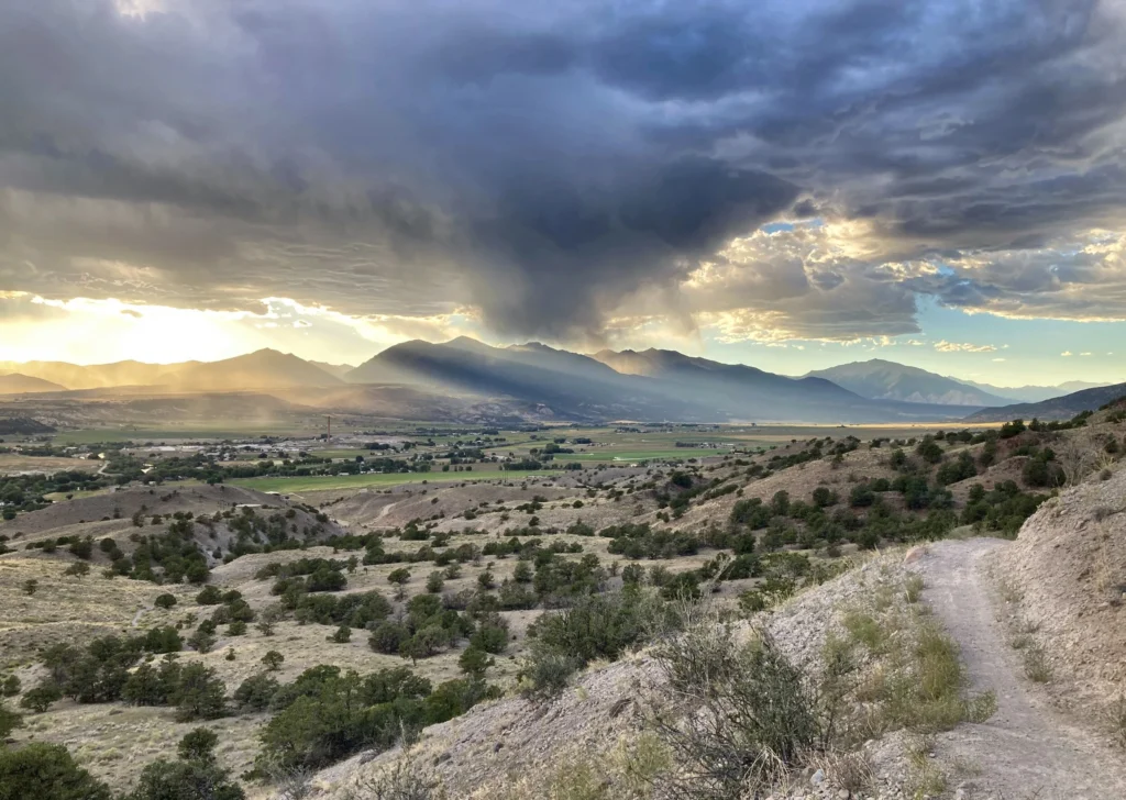 Walking Blind: Living Well While the World Spins Out of Control