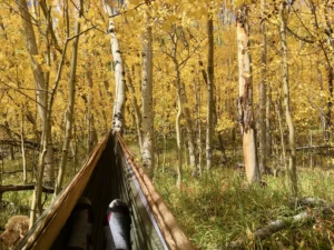 Beyond the Adventure: Forest Bathing in a Hammock