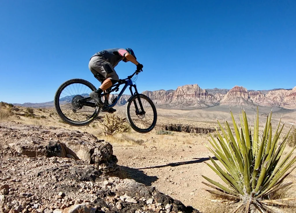 Discover Your Own Backyard