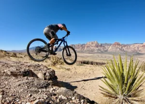 Discover Your Own Backyard