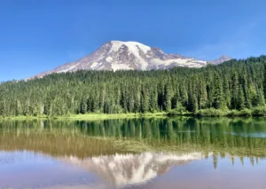 Adventure Guides Now Live for New Mexico and Washington