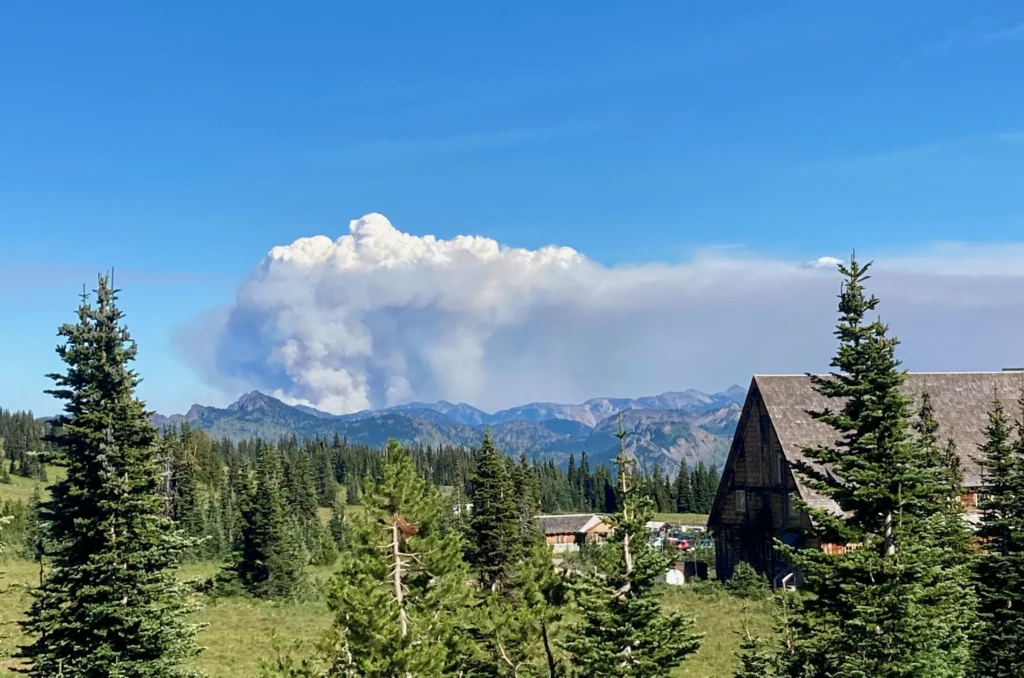 Running from the Smoke: Our Flight to the Coast