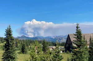 Running from the Smoke: Our Flight to the Coast