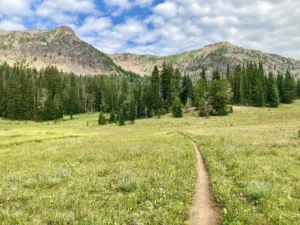 The Path to Freedom: 3 Proven Strategies to Escape from the Bondage of Employment