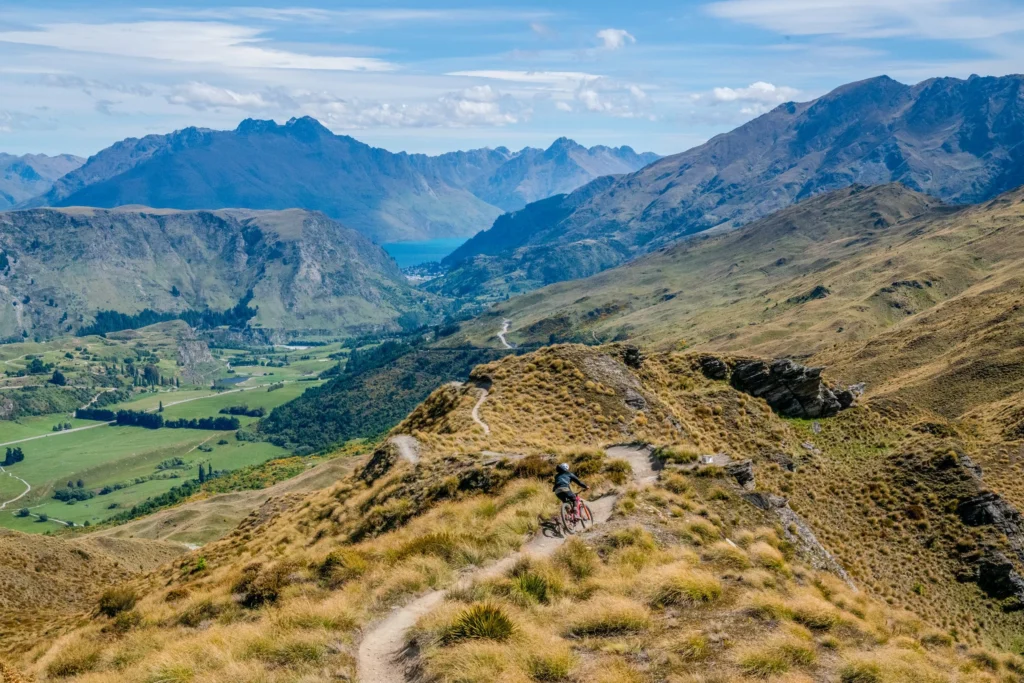 Some people thought humanity would return to outdoor activities post-COVID. They were wrong.