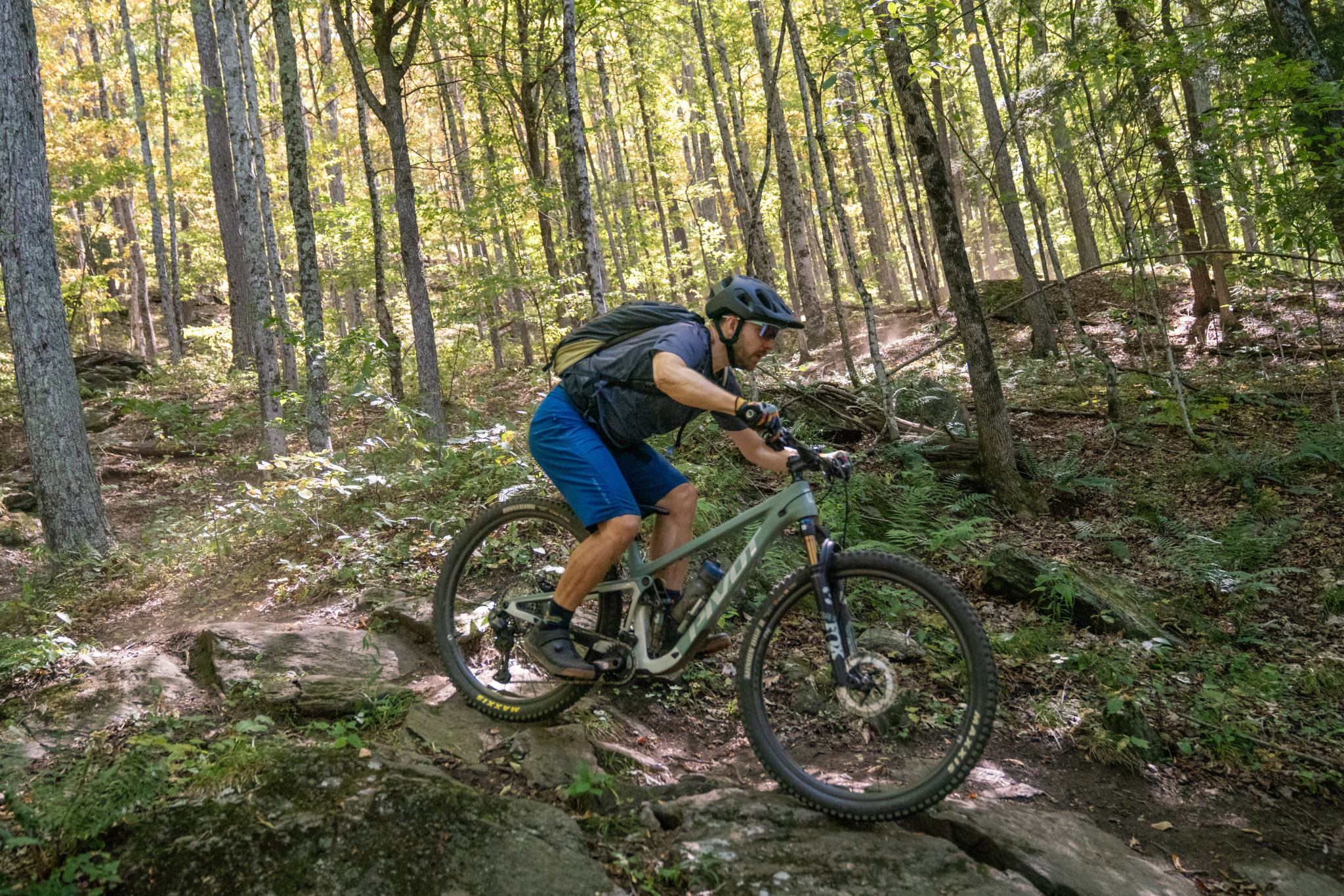 A mountain biker navigating rocky terrain in a lush forest setting, surrounded by tall trees with autumn foliage. The cyclist is wearing a helmet and riding a modern mountain bike, showcasing action and skill. Sunlight filters through the trees, creating a vibrant atmosphere.