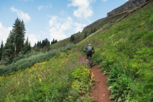 Embrace your primal nature: Why we should all be a little more wild