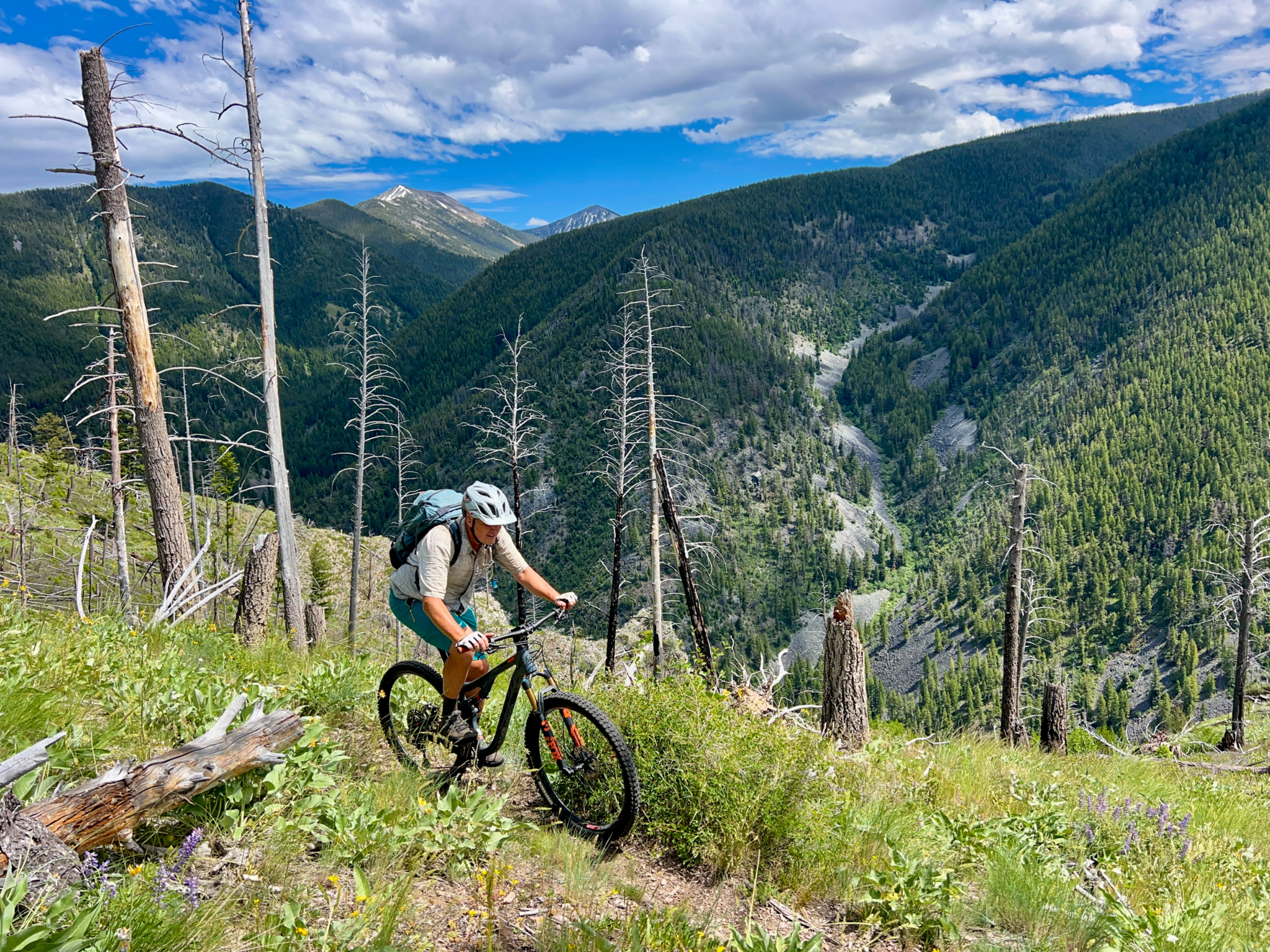 A mountain biker navigating a wooded trail on a mountain slope, surrounded by greenery and tree stumps. The backdrop features lush, rolling hills under a partly cloudy sky.