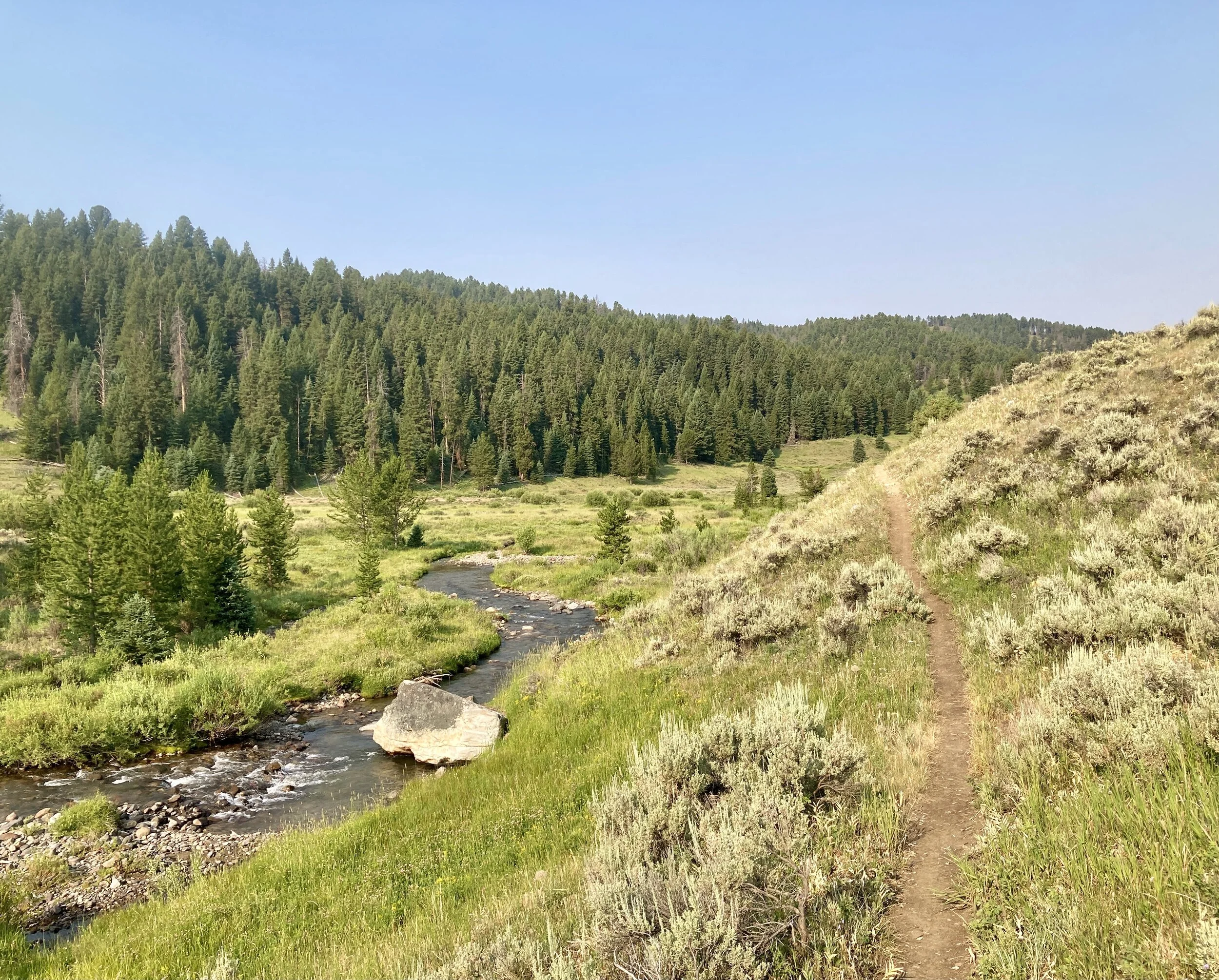 Grizzly Loop