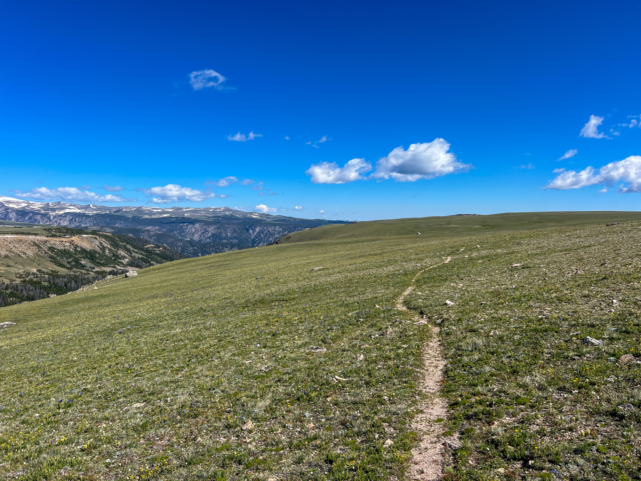 A scenic view of a grassy landscape with a winding dirt path leading through it, set against a backdrop of distant mountains and a clear blue sky dotted with a few clouds. The foreground features a gentle slope covered in grass and small rocks, while the horizon showcases rugged peaks partially covered in snow.
