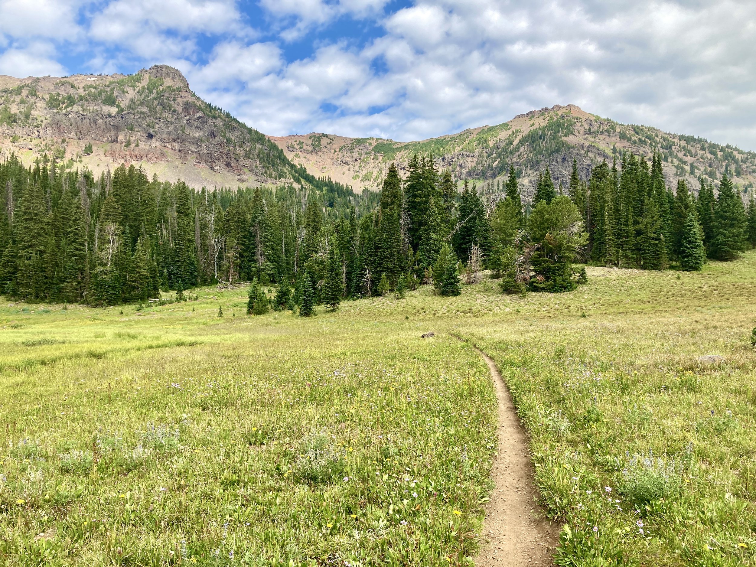 The path to freedom might not always be easy to find… but it is there if you look for it. 📍 Bozeman, Montana