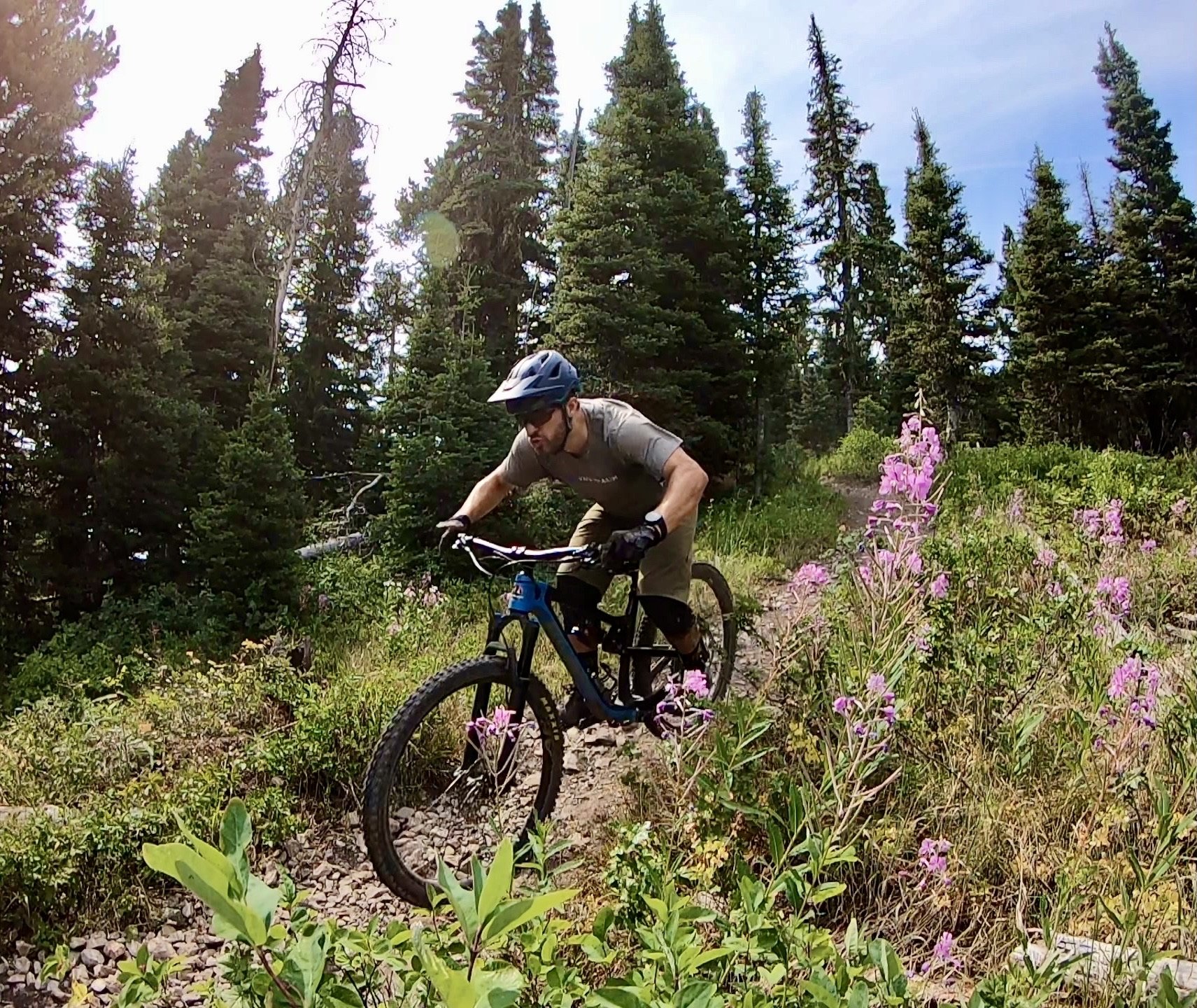 Bozeman, Montana