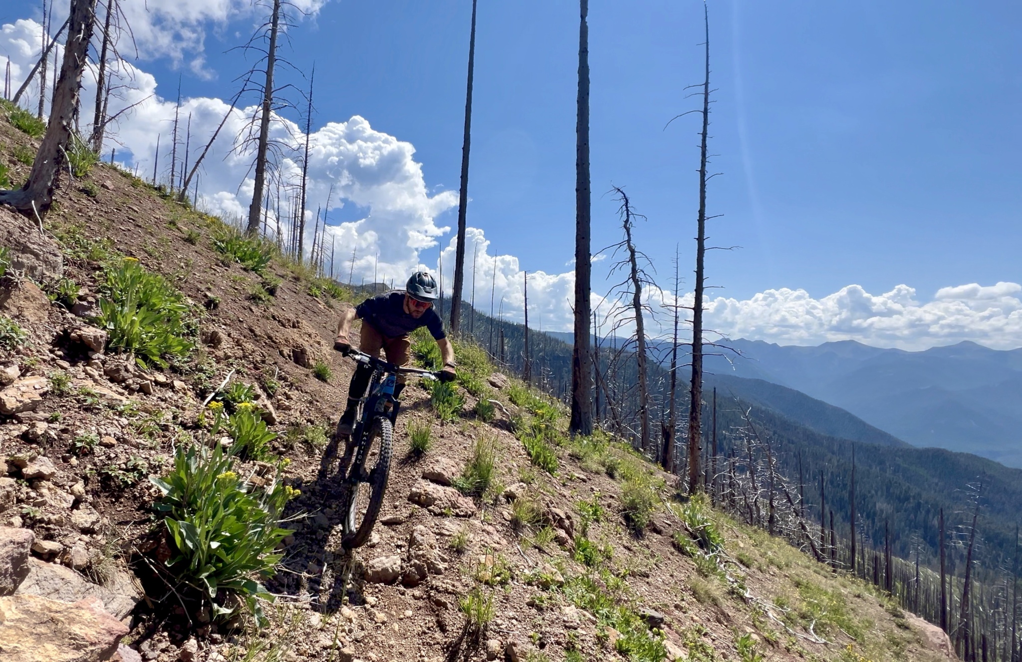 A mountain biker navigating a rocky trail on a hillside, with a backdrop of pine trees and mountains under a bright blue sky with scattered clouds.