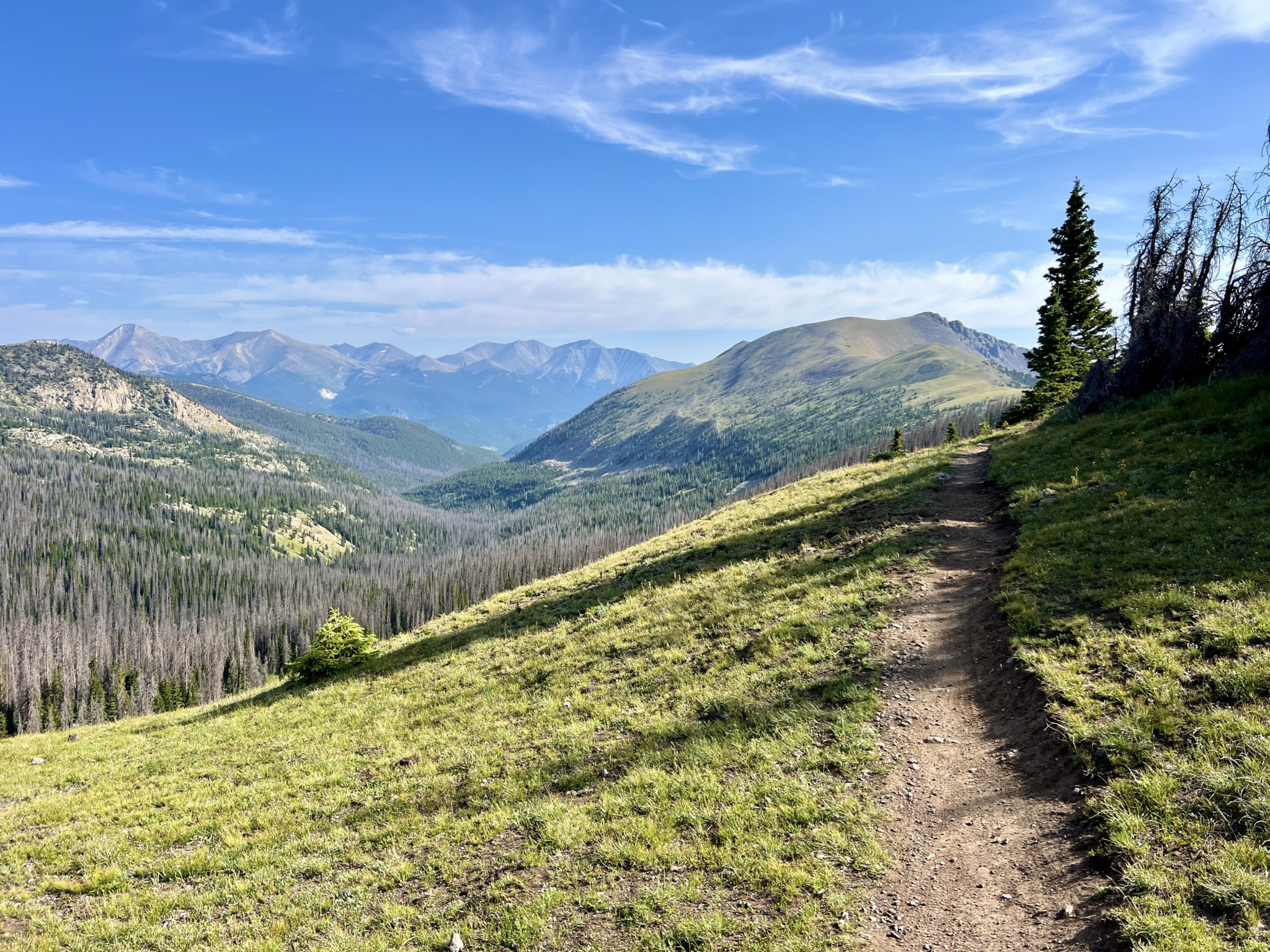 A scenic view of a winding dirt trail leading through lush green grass and sparse trees, with rolling mountains in the background under a clear blue sky. The landscape features a mix of evergreen trees and open space, showcasing the beauty of nature in a mountainous region.
