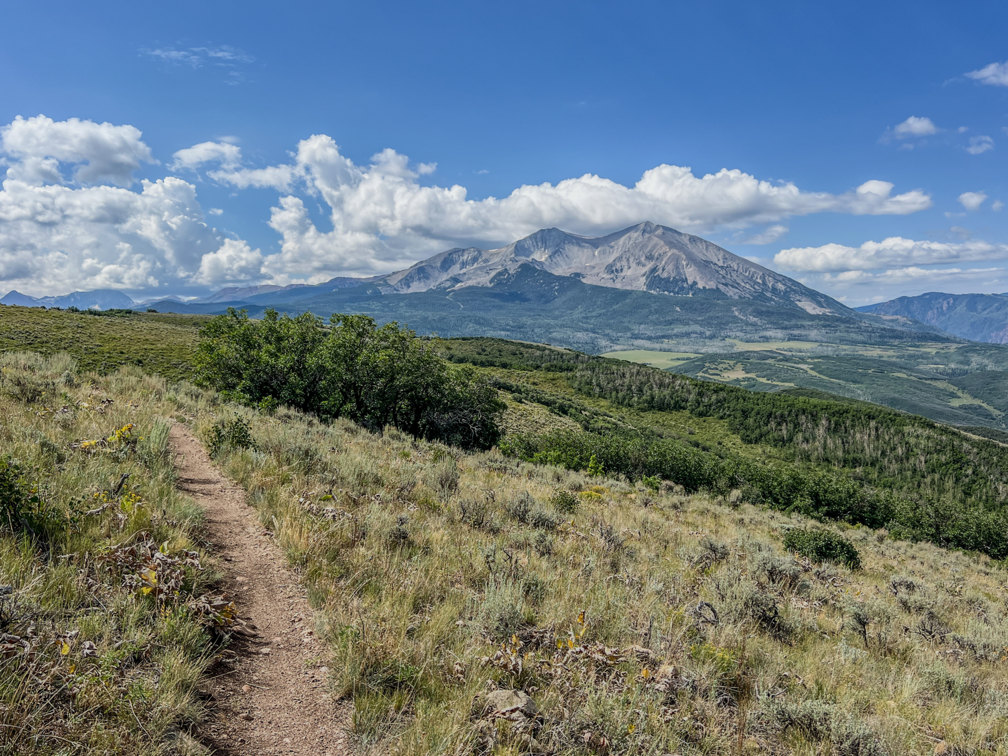 A scenic view of a winding dirt trail leading through grassy terrain, surrounded by shrubs and trees, with a majestic mountain in the background under a blue sky dotted with fluffy white clouds.