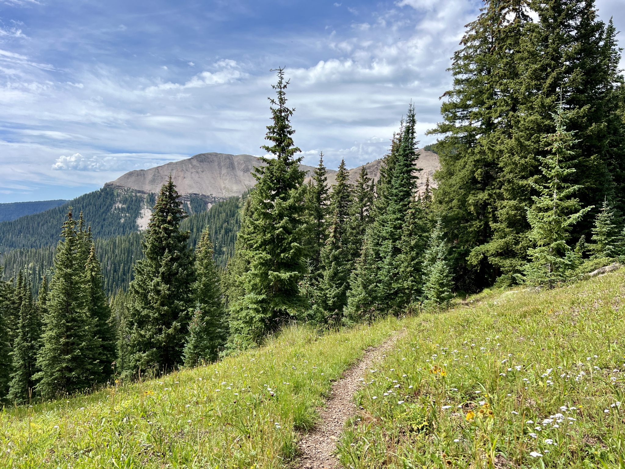 A scenic view of a mountain landscape featuring a dirt path winding through a grassy area dotted with wildflowers. Tall evergreen trees surround the path, and majestic mountains rise in the background under a blue sky with scattered clouds.