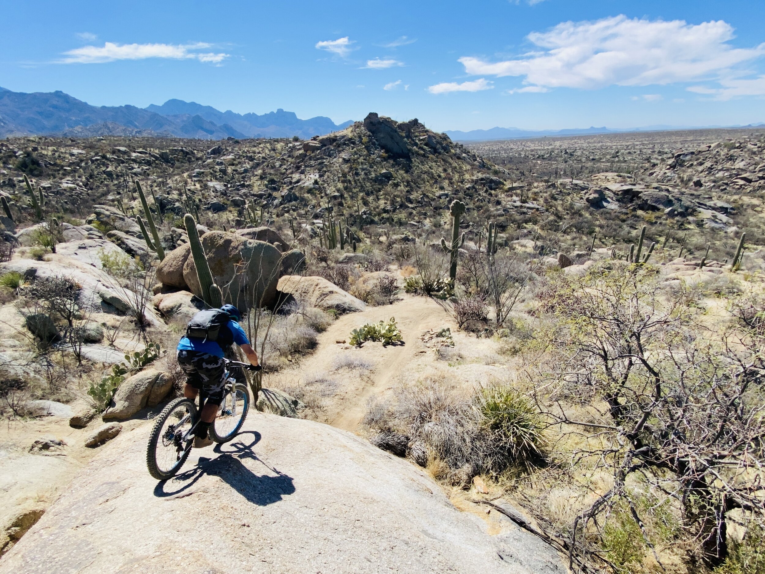 Tucson, Arizona. Photo: Marcel Slootheer