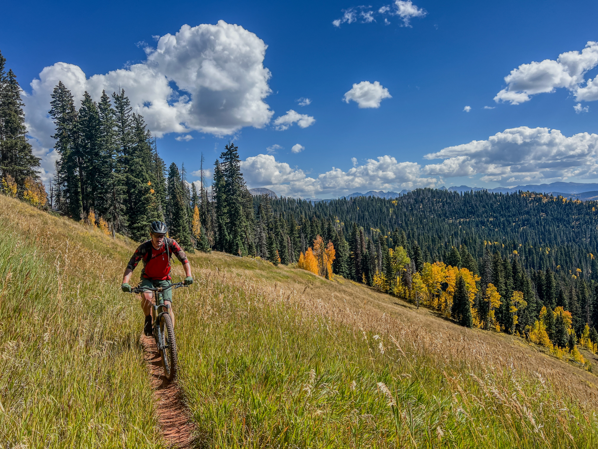 A mountain biker riding along a narrow dirt trail through tall grass and vibrant autumn foliage, surrounded by evergreen trees and a clear blue sky with fluffy white clouds in the background.