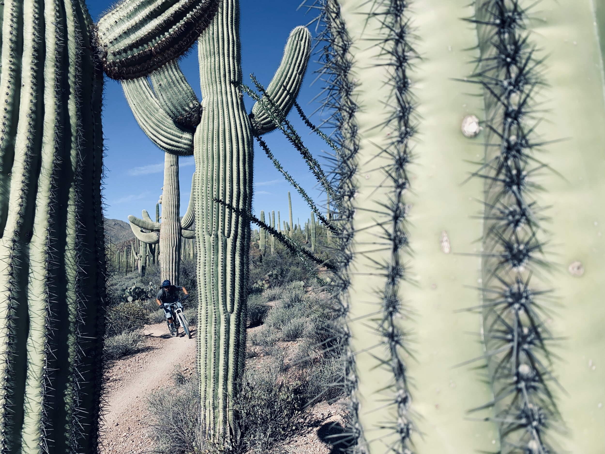 Getting my normal hit of Vitamin N. Tucson, Arizona. Photo: Marcel Slootheer