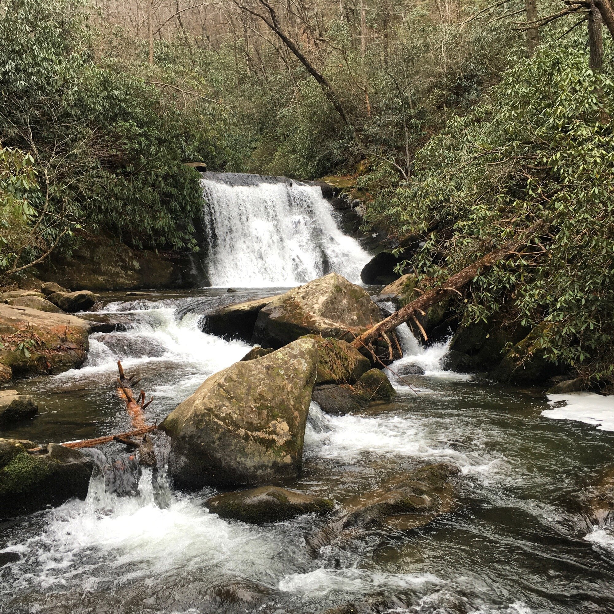 First hike after my second knee surgery.