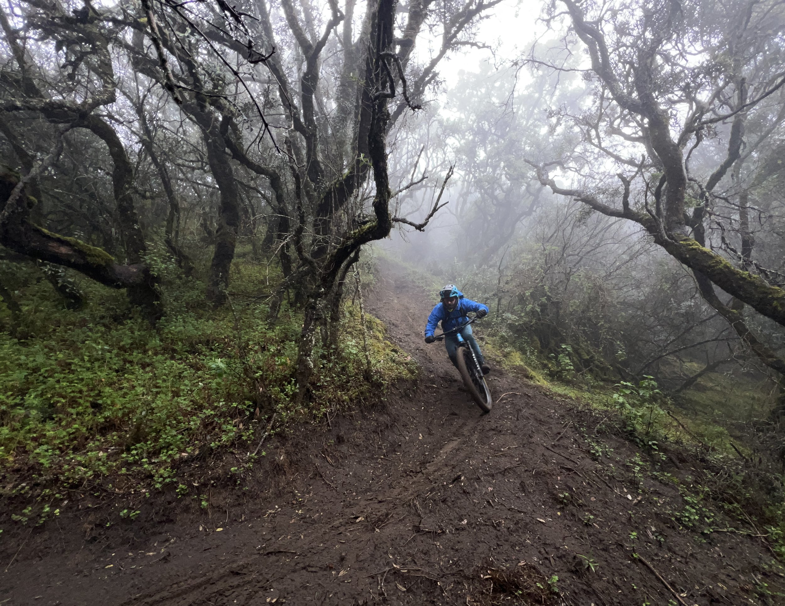 Ecuador. Photo: Andres