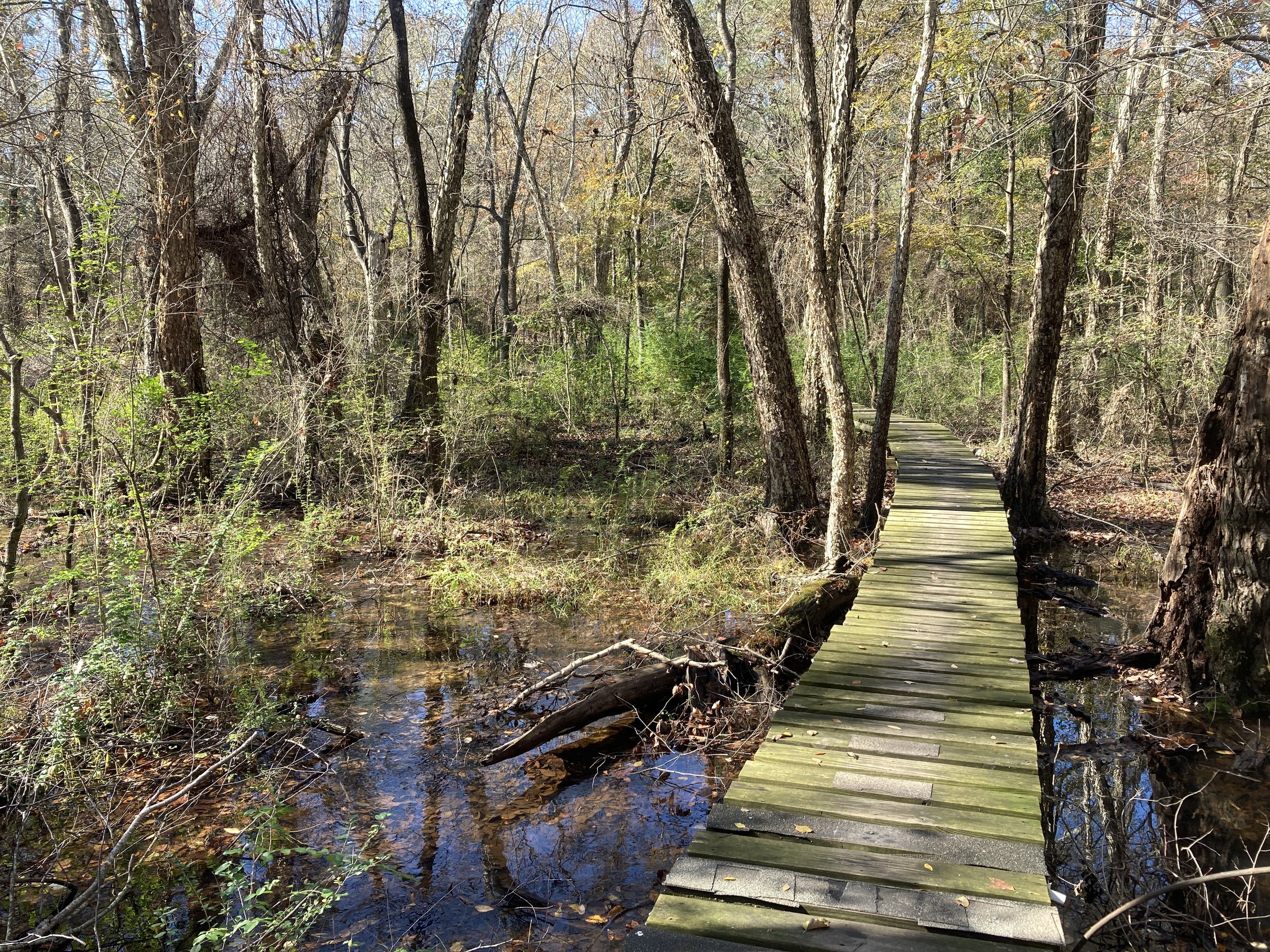 Lindsey Park, Tyler, Texas