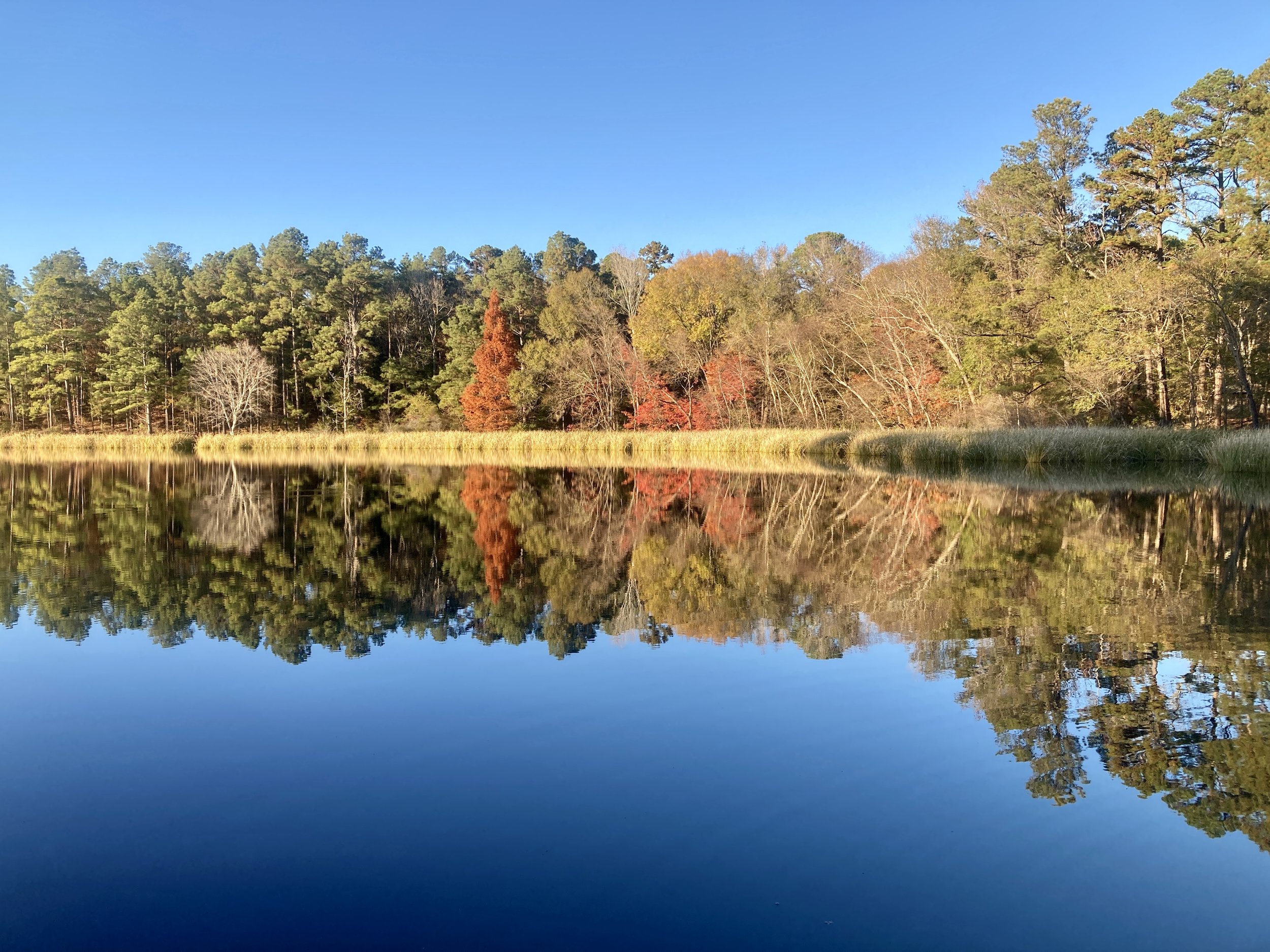 Tyler Lake