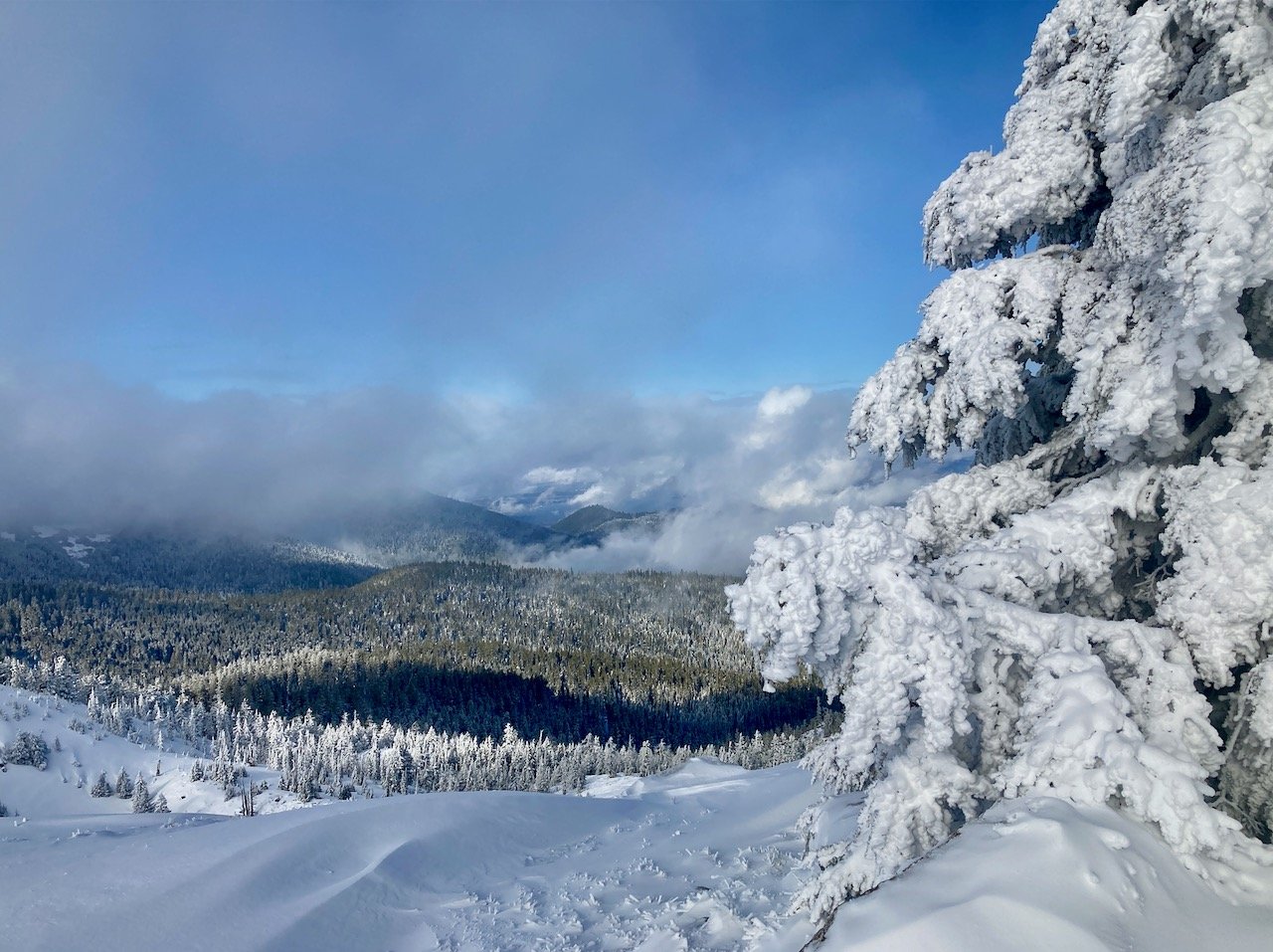 Mt. Ashland, Oregon