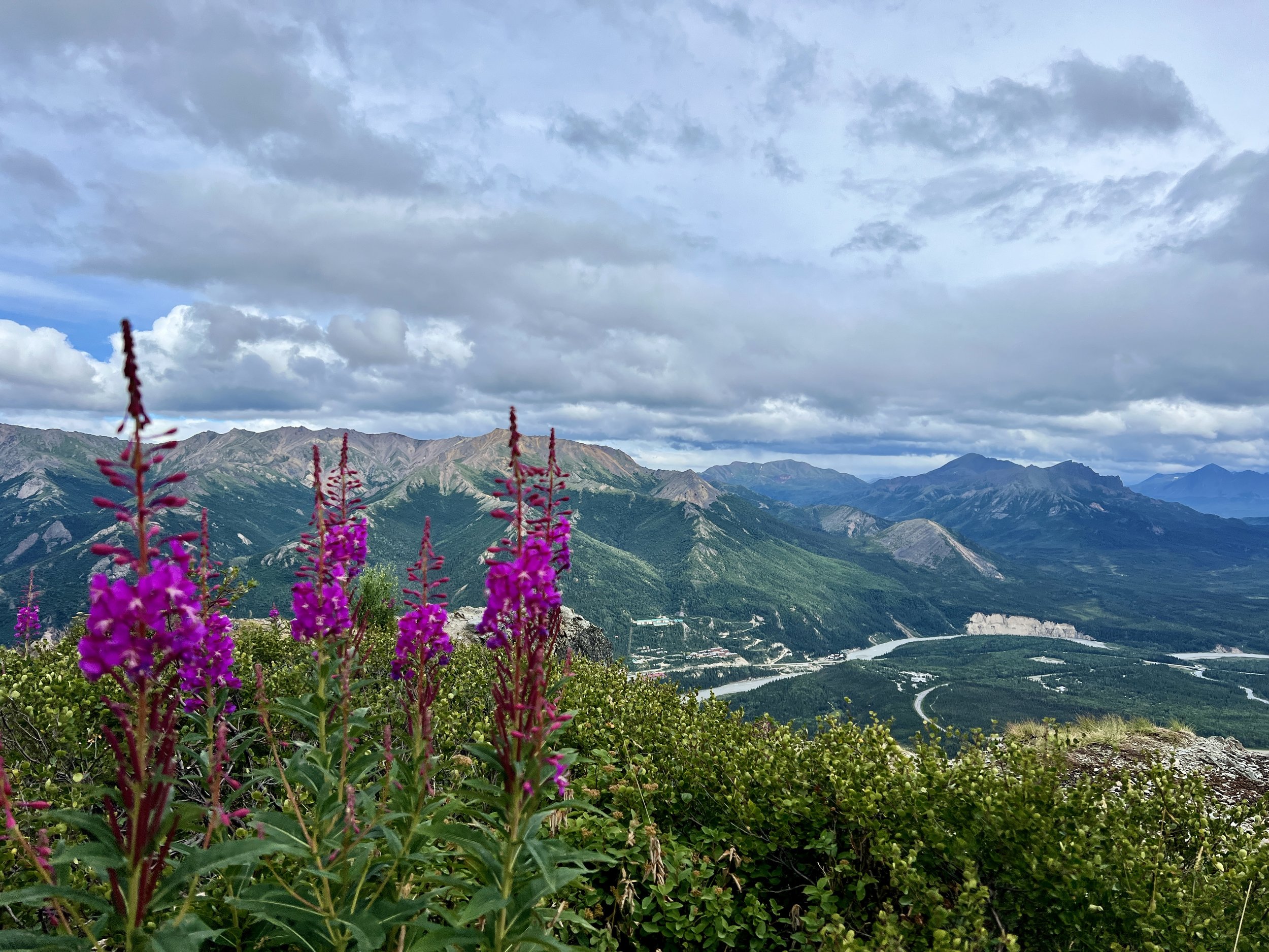 Denali National Park, Alaska