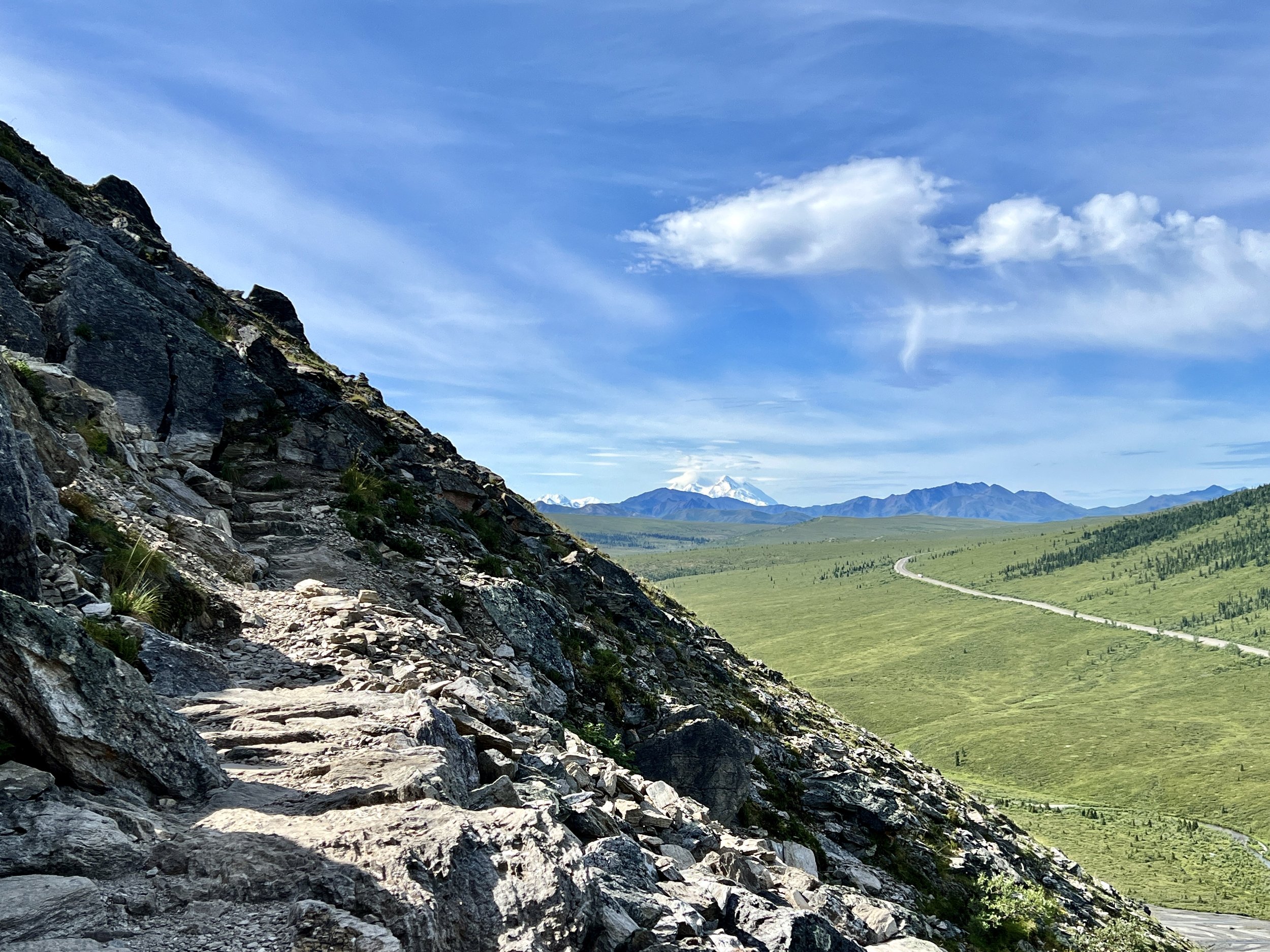 Savage Alpine Trail, Denali National Park, Alaska. Photo: Greg Heil