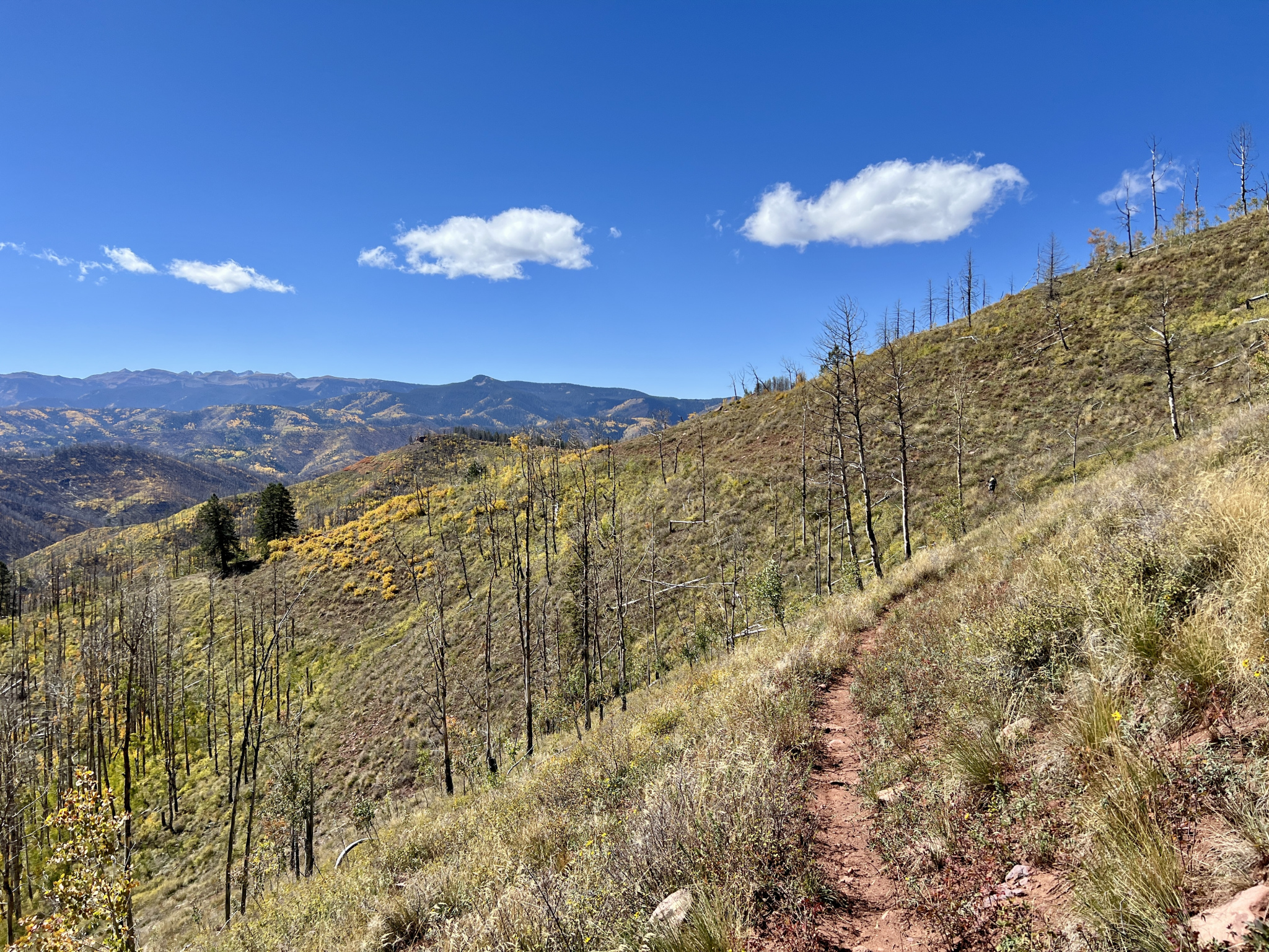 A scenic landscape showcasing rolling hills covered in yellow and green vegetation, with a winding dirt path leading into the distance. The area features clusters of dead trees, hinting at a recent fire, against a backdrop of mountains and a clear blue sky with a few fluffy clouds.