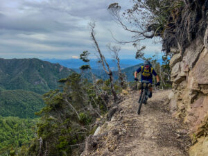 I rode in 12 states and 2 continents in 2024. Here are the best MTB trails I explored.