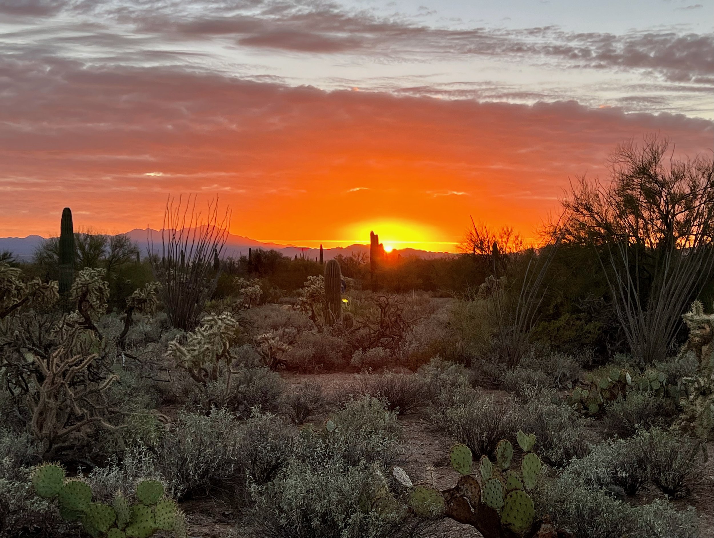 Don’t let the sun set on your life before you’ve had a chance to live.