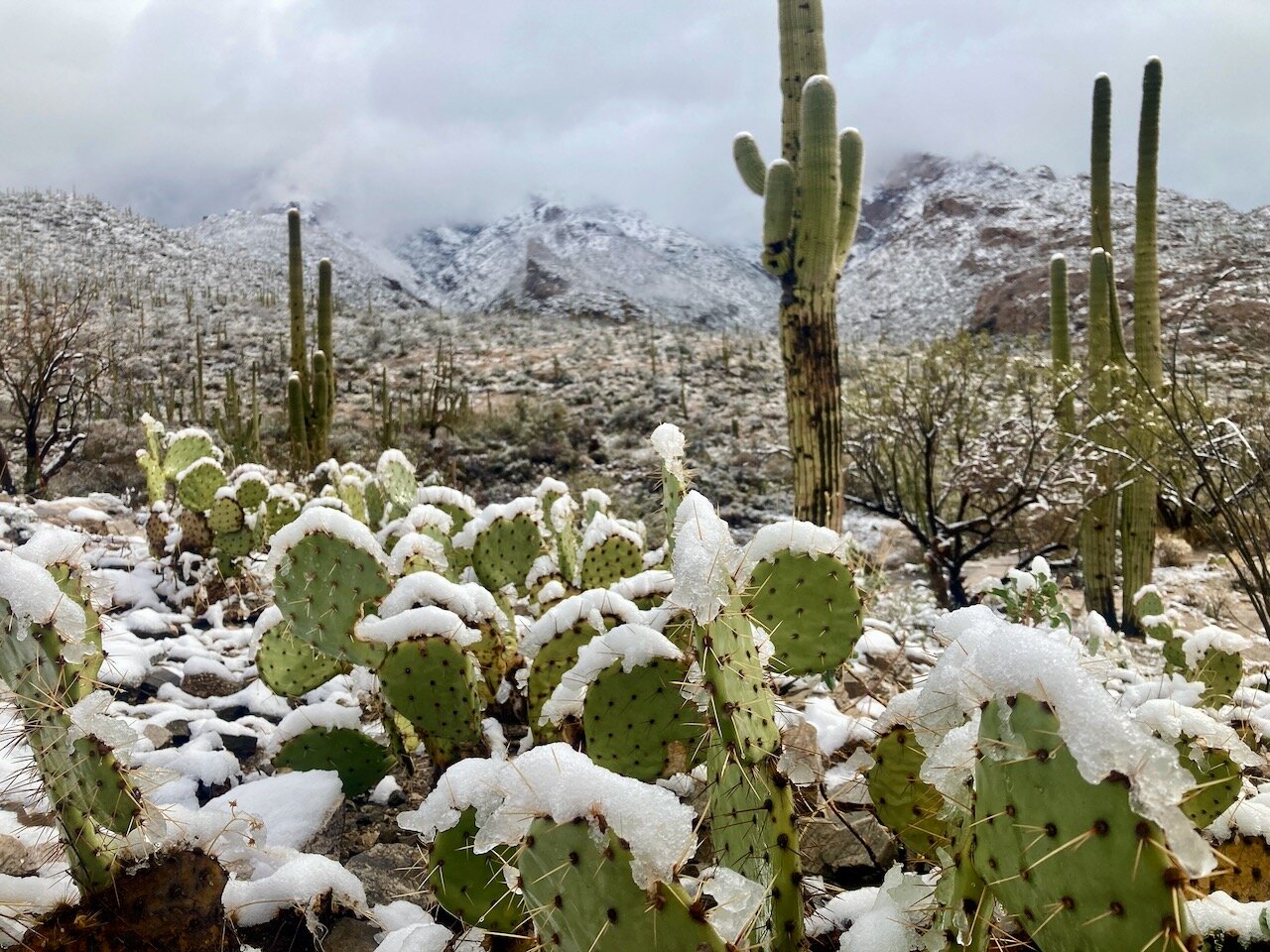Tucson, Arizona