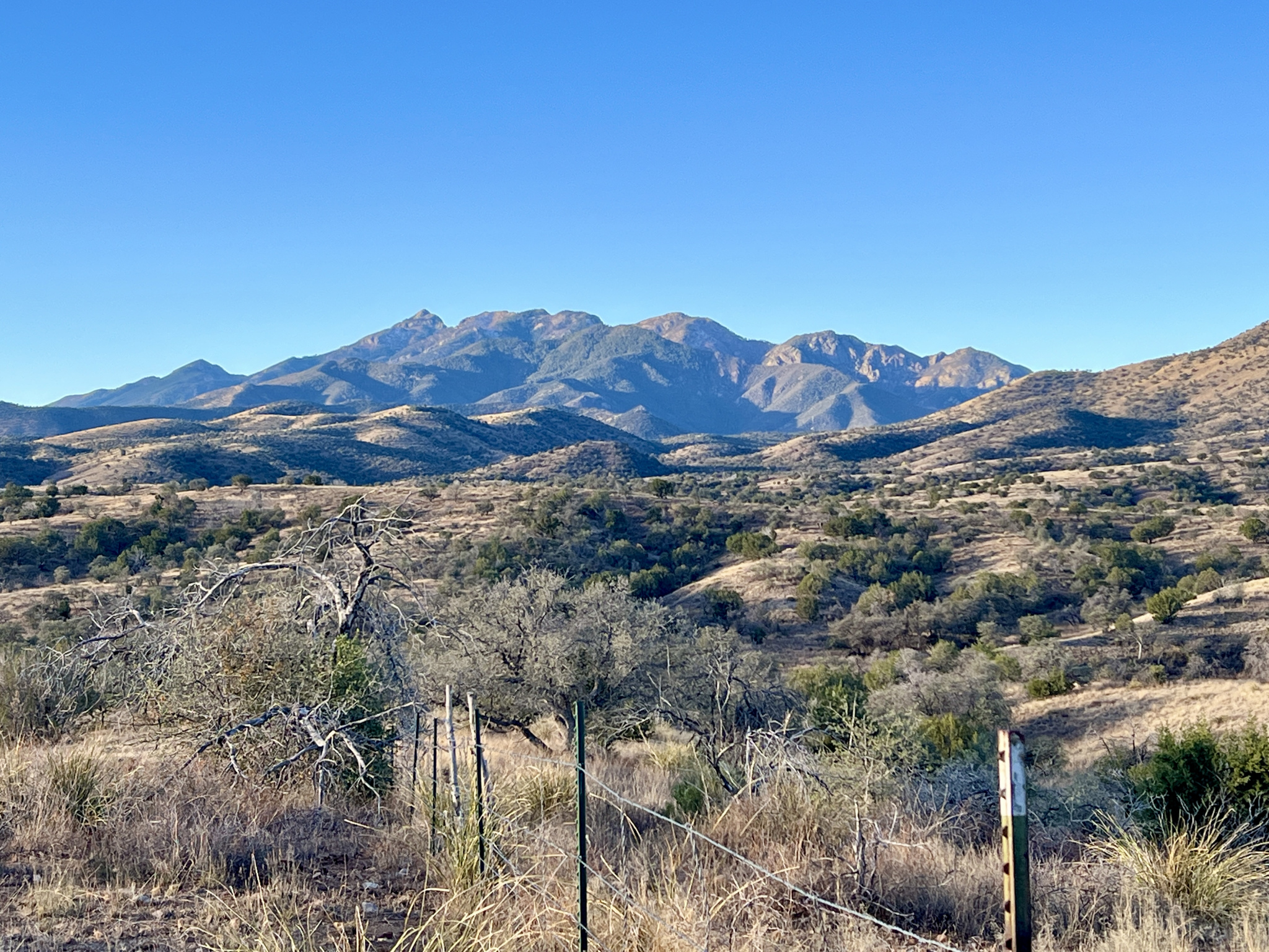 A panoramic view of a mountainous landscape under a clear blue sky. The foreground features rolling hills with sparse vegetation and a few dried trees, while in the background, rugged mountains rise prominently, showcasing various shades of brown and green. A fence line runs across the lower part of the image, adding context to the natural scenery.