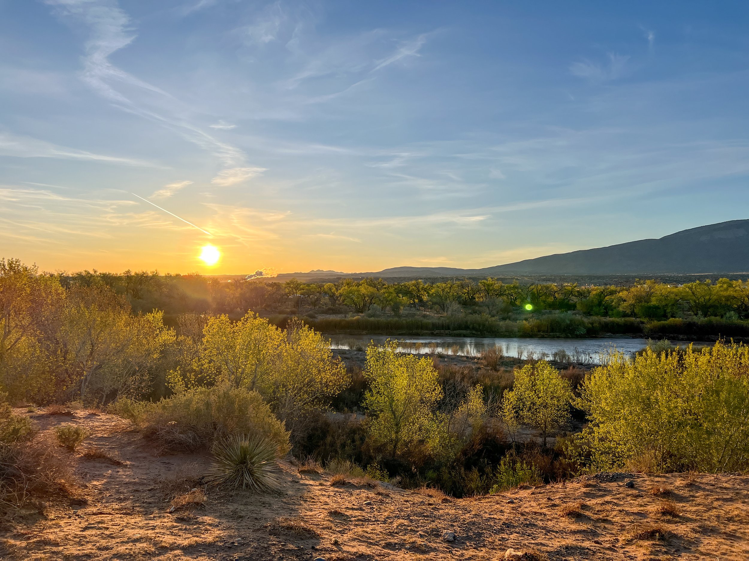   New Mexico  