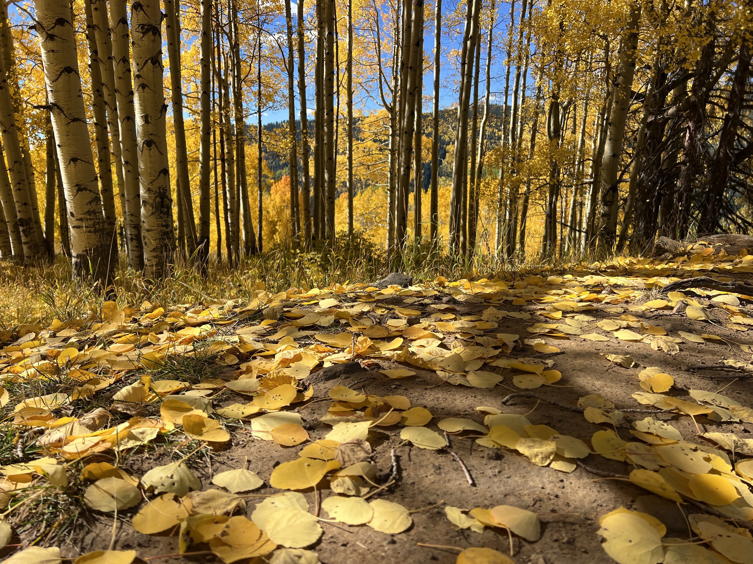 Durango, Colorado