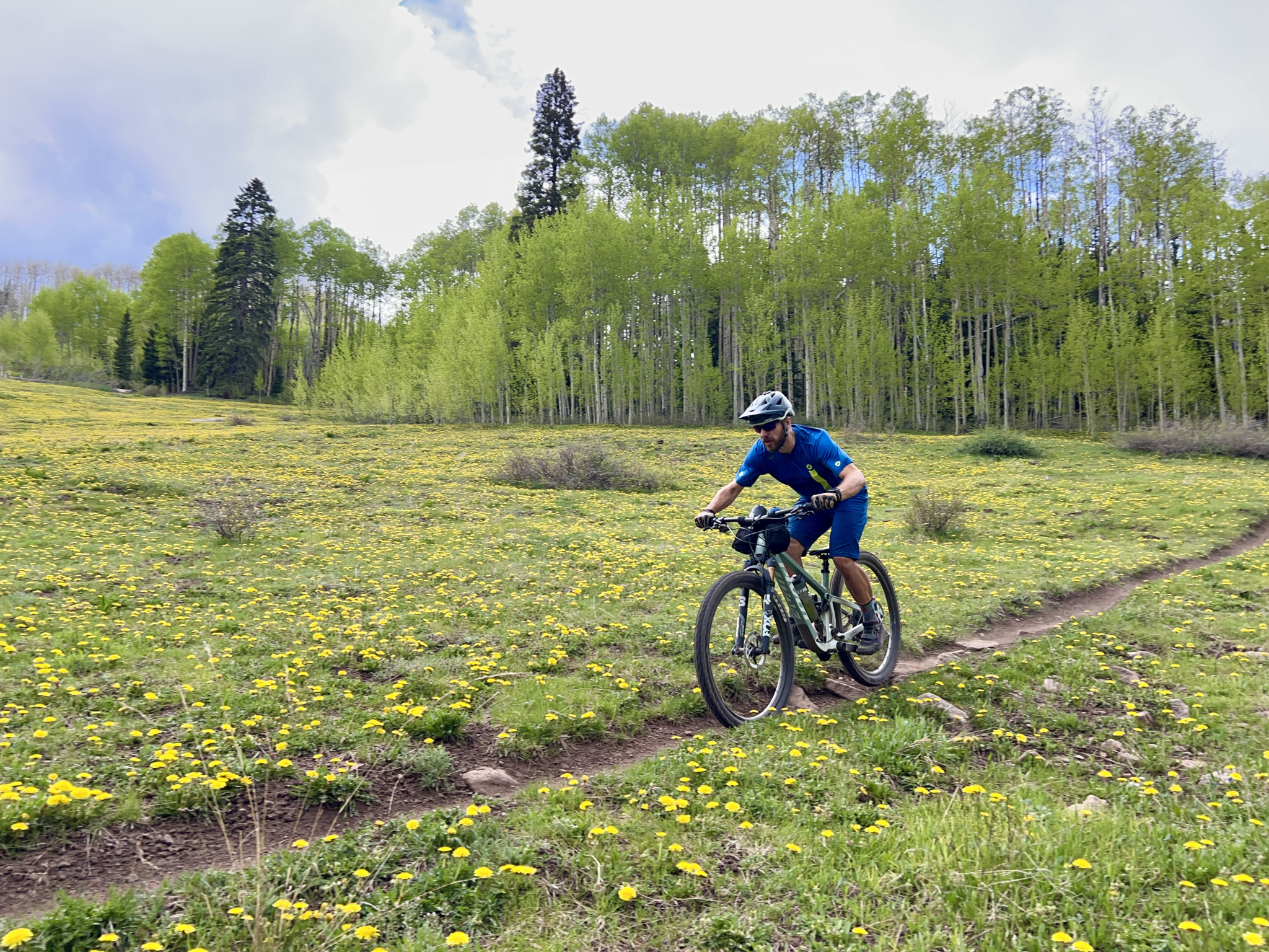 A cyclist riding a mountain bike along a dirt trail in a vibrant green meadow filled with yellow dandelions. Lush trees provide a backdrop, under a partly cloudy sky.