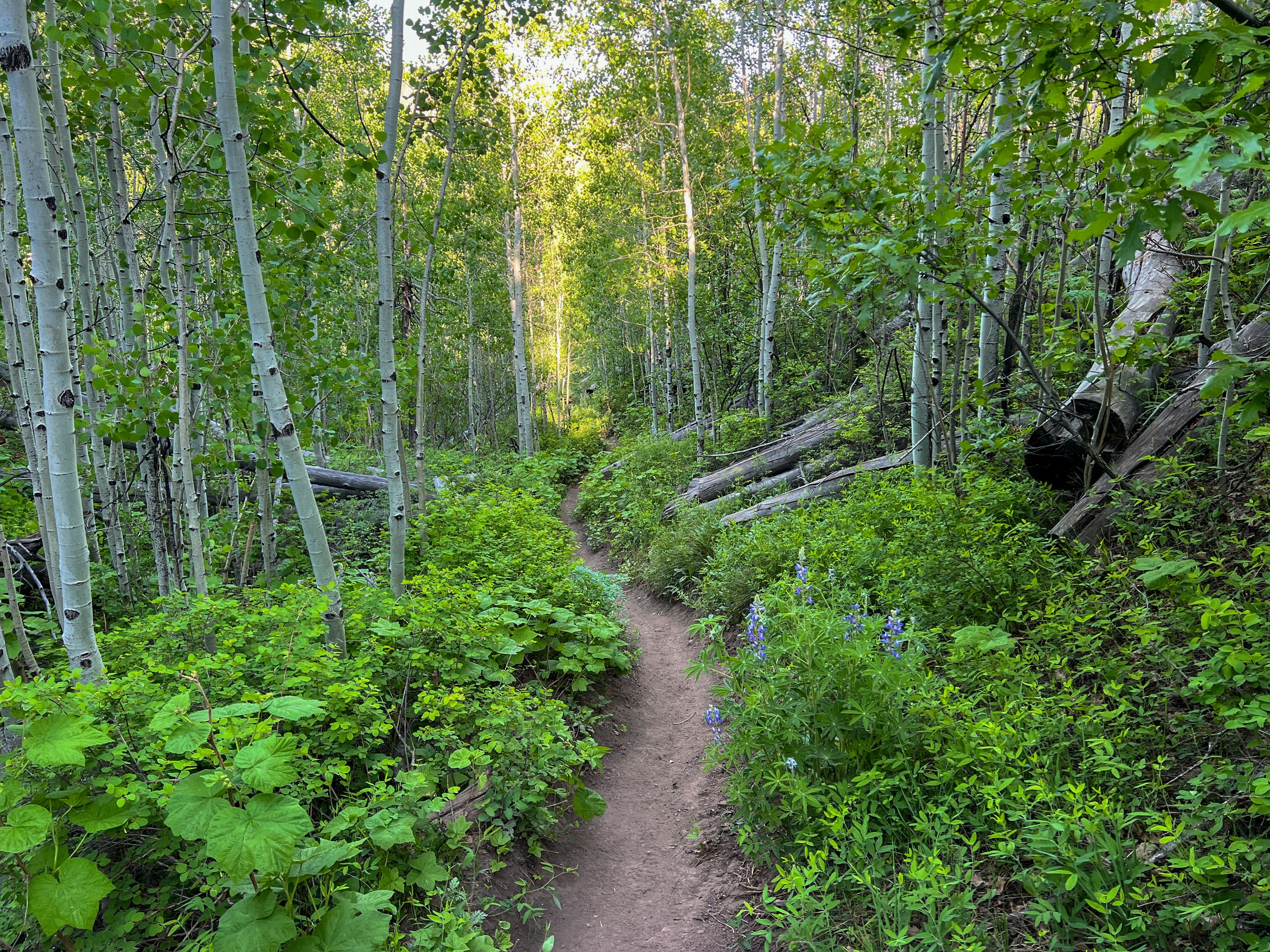 Durango, Colorado