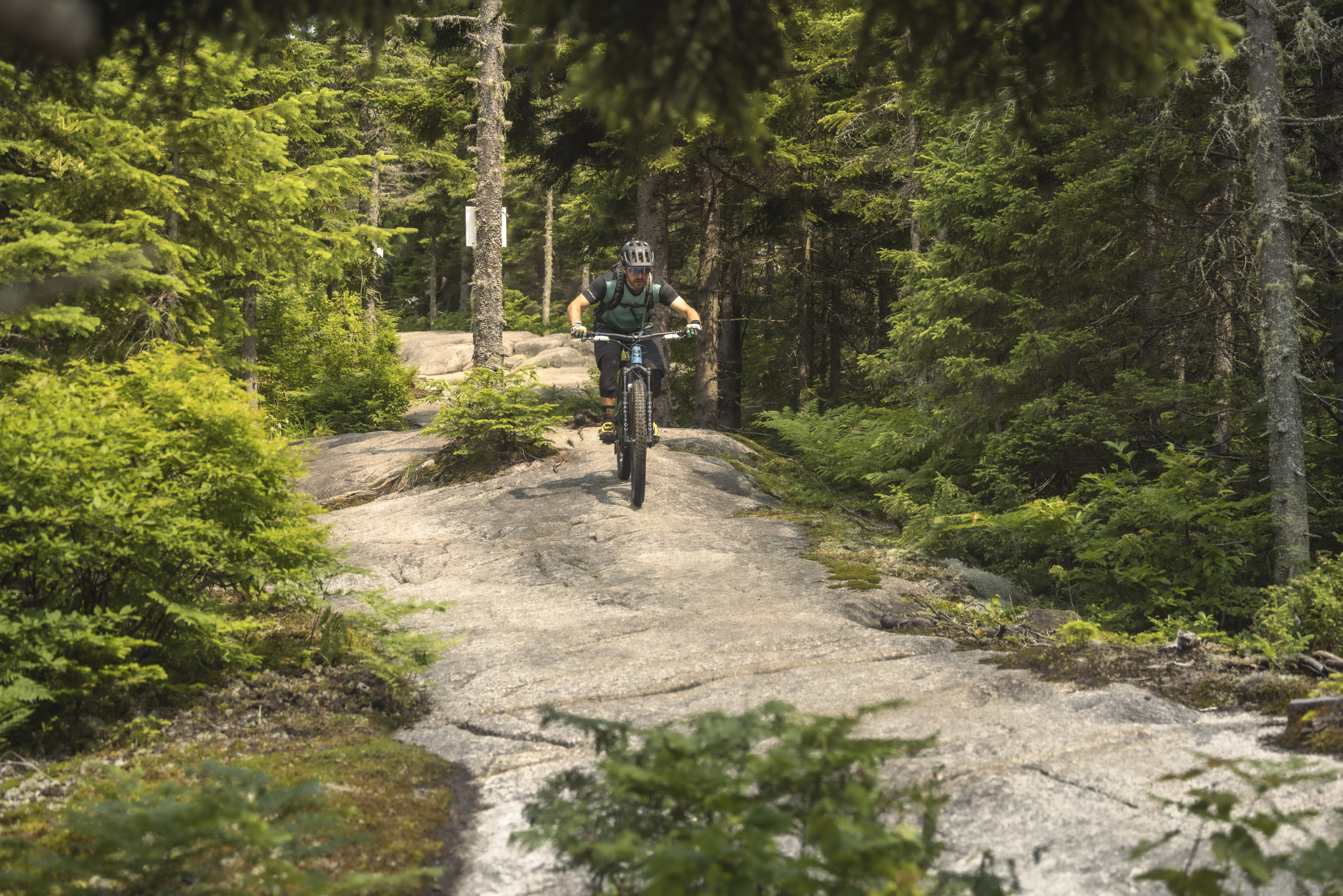 A mountain biker navigating a rocky trail surrounded by lush green trees and foliage in a forest setting. The biker is focused and riding on a smooth, flat rock surface, emphasizing the challenging terrain.