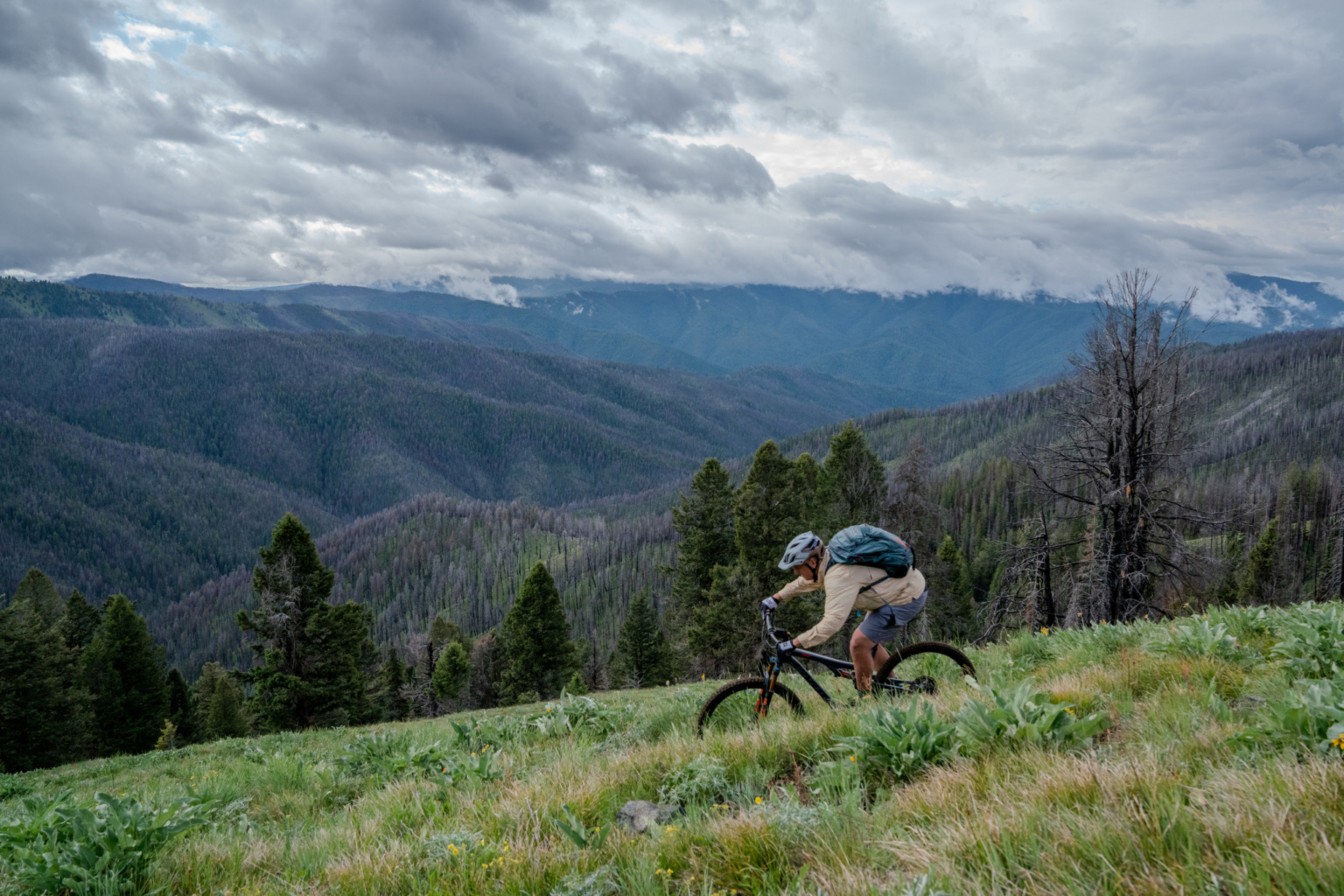 A mountain biker navigates a grassy slope with a backdrop of mountainous terrain and scattered clouds. The cyclist is wearing a helmet and carrying a backpack, surrounded by lush greenery interspersed with patches of burned trees in the distance.