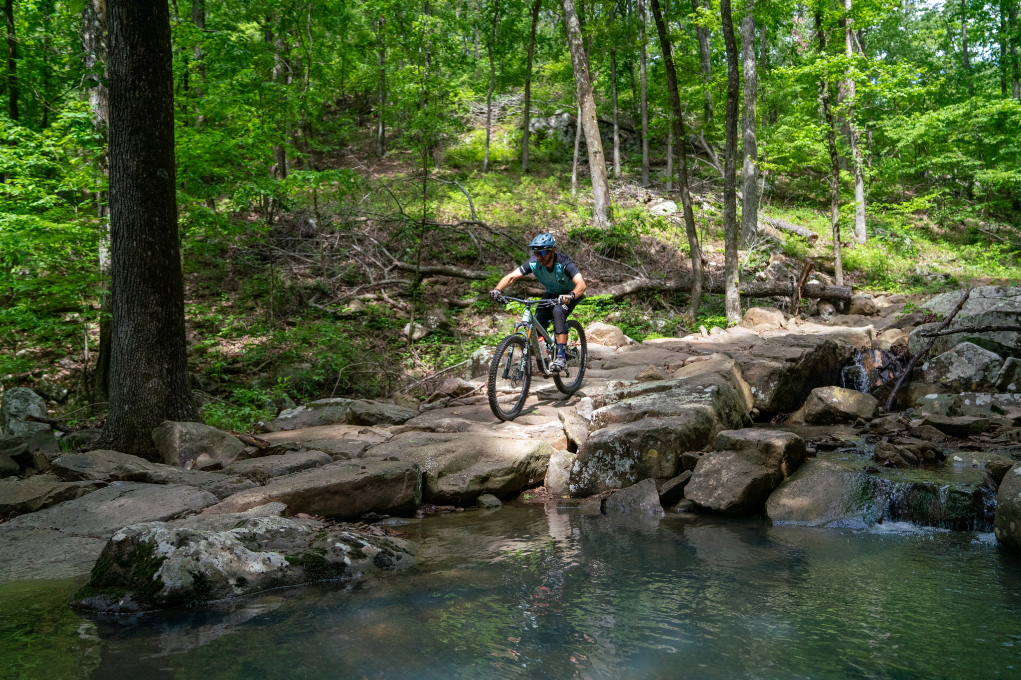 A mountain biker riding over rocky terrain next to a clear stream in a lush, green forest setting. Sunlight filters through the trees, highlighting the rider as they navigate the challenging landscape.