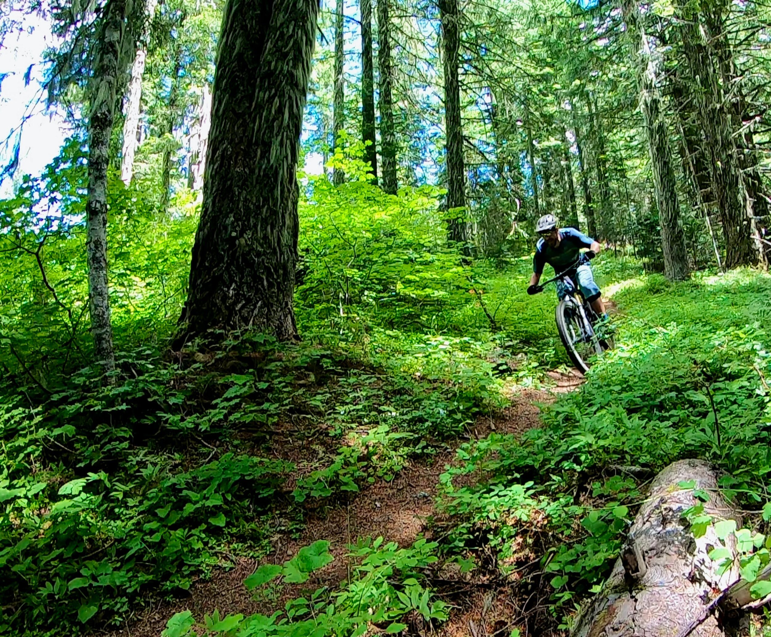 Oakridge