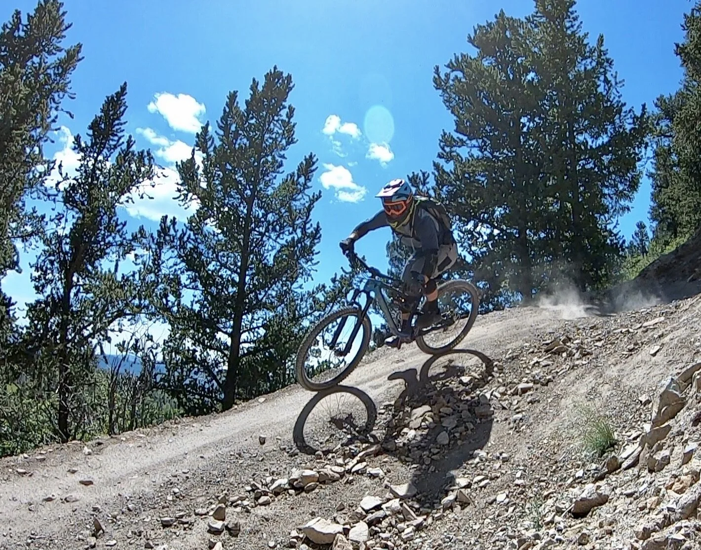 Devinci’s Code