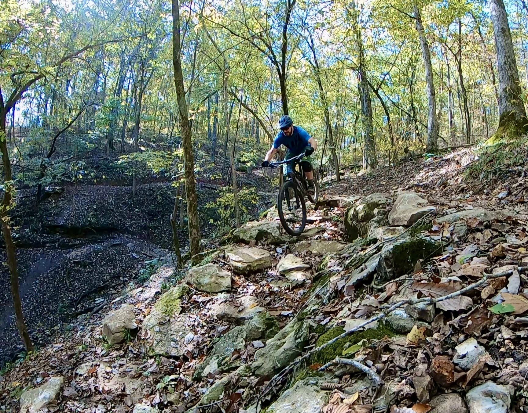 Handcut Hollow