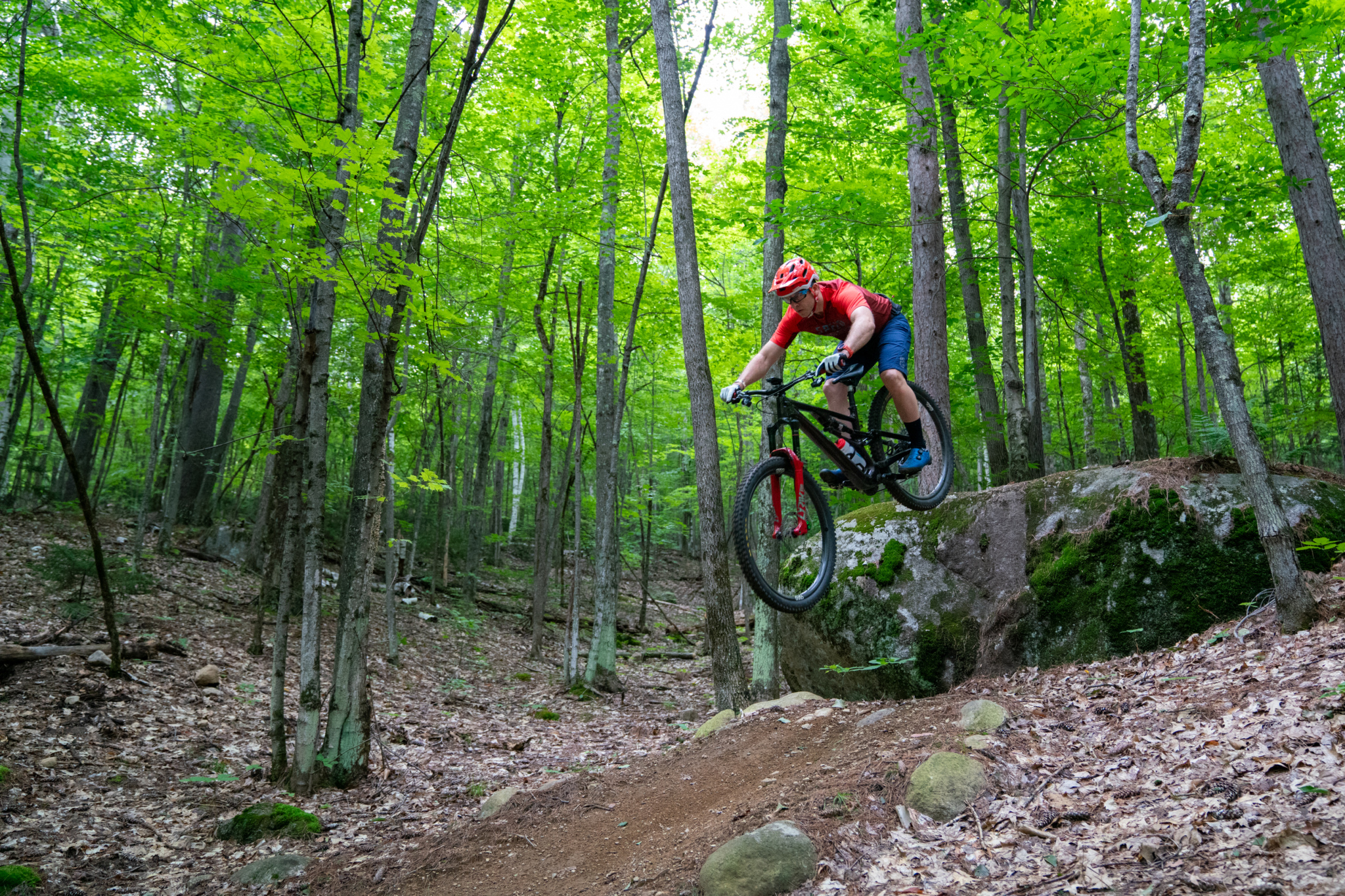 A mountain biker wearing a red jersey and helmet flies off a rock formation while riding through a lush green forest. The scene captures the thrill of mountain biking amidst trees and soft earth, showcasing the biker's dynamic jump over the terrain.